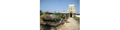 திருப்புலிவனம்